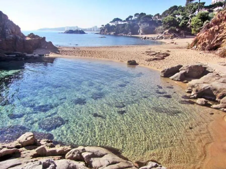 Apartamento Cala Del Pi Platja d'Aro Spain